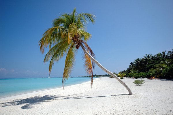 Les meilleures jumelles puissantes à choisir en 2025